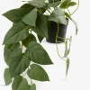 ANDERSENPlante artificielle ANDERSEN L43cm à suspendre