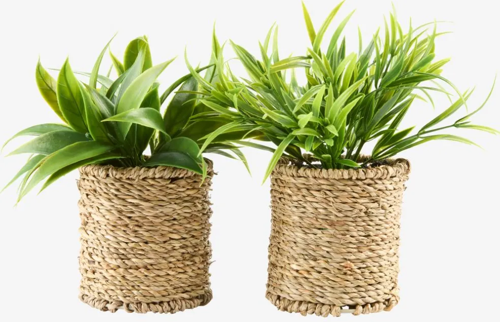 BERTRAMPlante artificielle BERTRAM Ø8xH18cm assorti