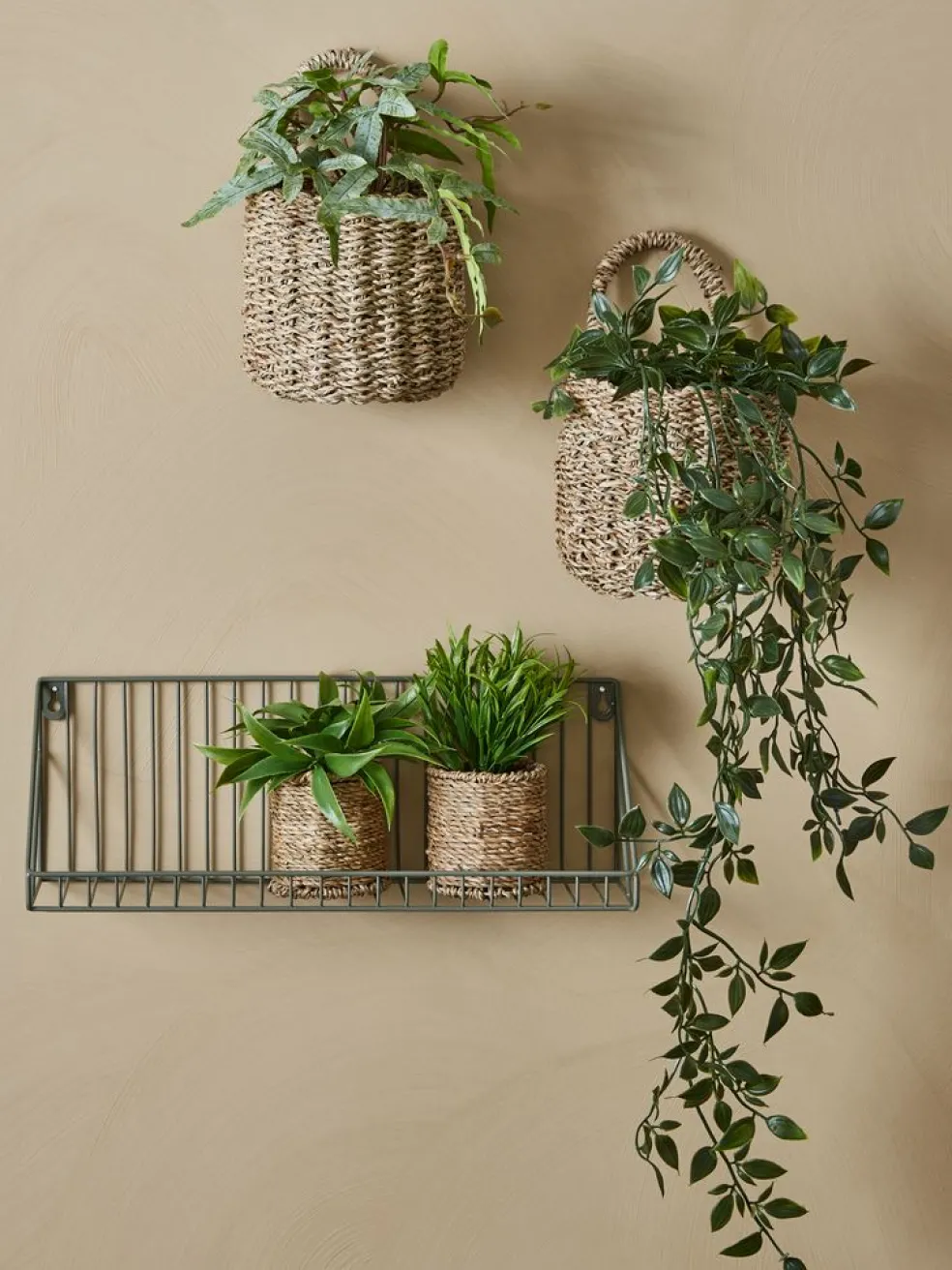 BERTRAMPlante artificielle BERTRAM Ø8xH18cm assorti