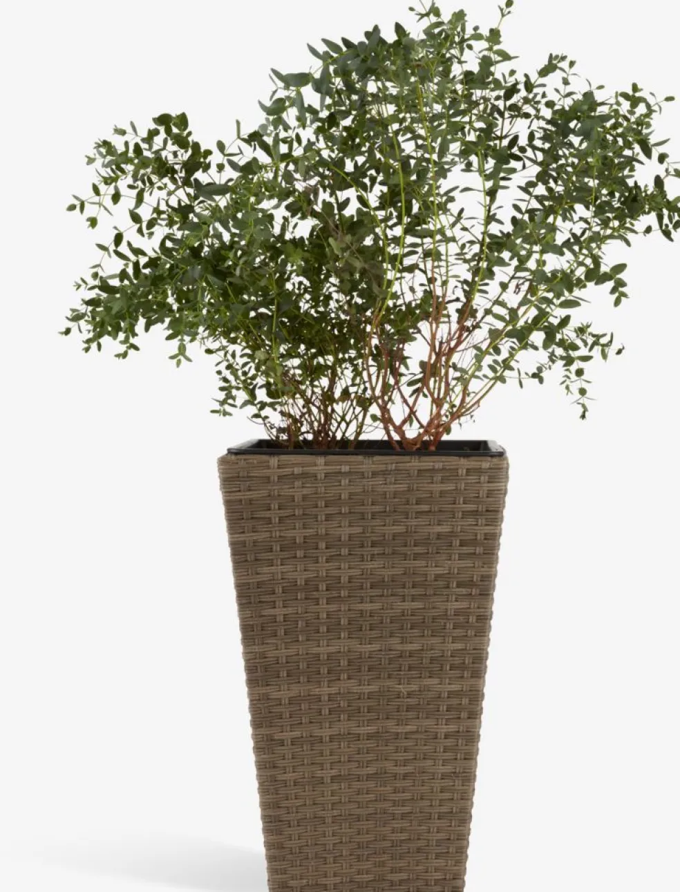 BLOMMORPanier pour plantes BLOMMOR l31xL31xH50 naturel