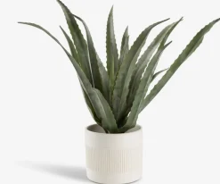 CELIUSPlante artificielle CELIUS H65cm aloe vera