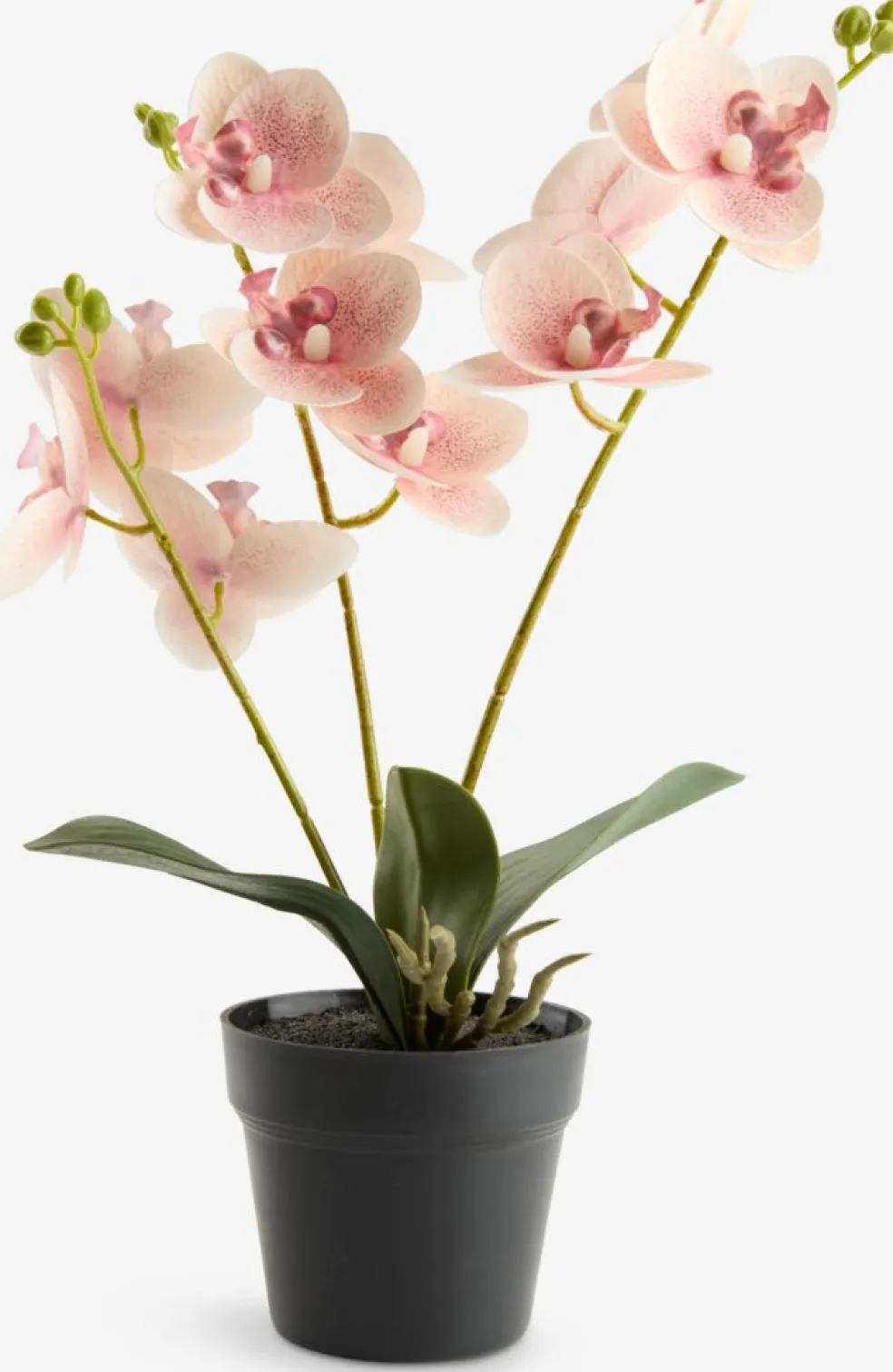 GUDJONPlante artificielle GUDJON H35cm orchidée rose