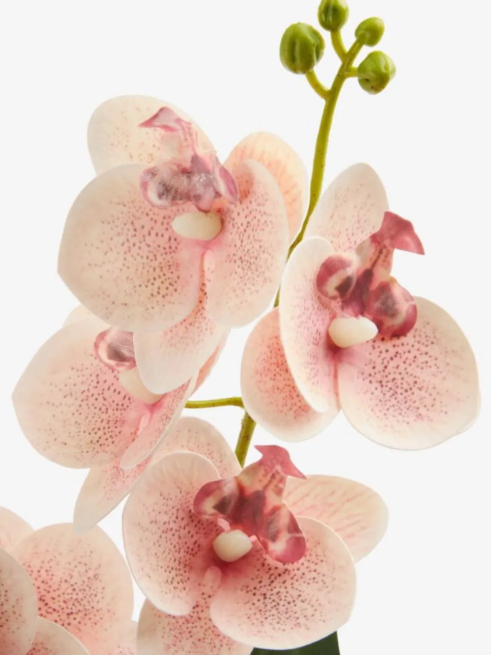 GUDJONPlante artificielle GUDJON H35cm orchidée rose