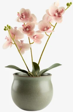 GUDJONPlante artificielle GUDJON H35cm orchidée rose