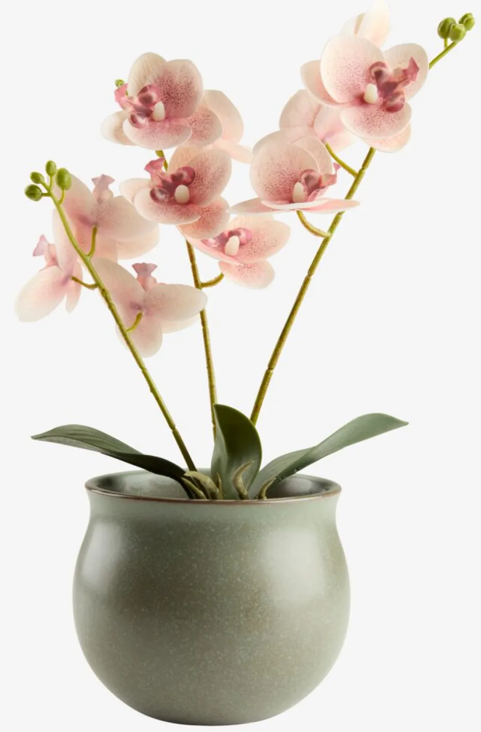 GUDJONPlante artificielle GUDJON H35cm orchidée rose