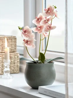 GUDJONPlante artificielle GUDJON H35cm orchidée rose