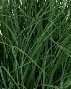 HAVELLEPlante artificielle HAVELLE H65cm herbe verte