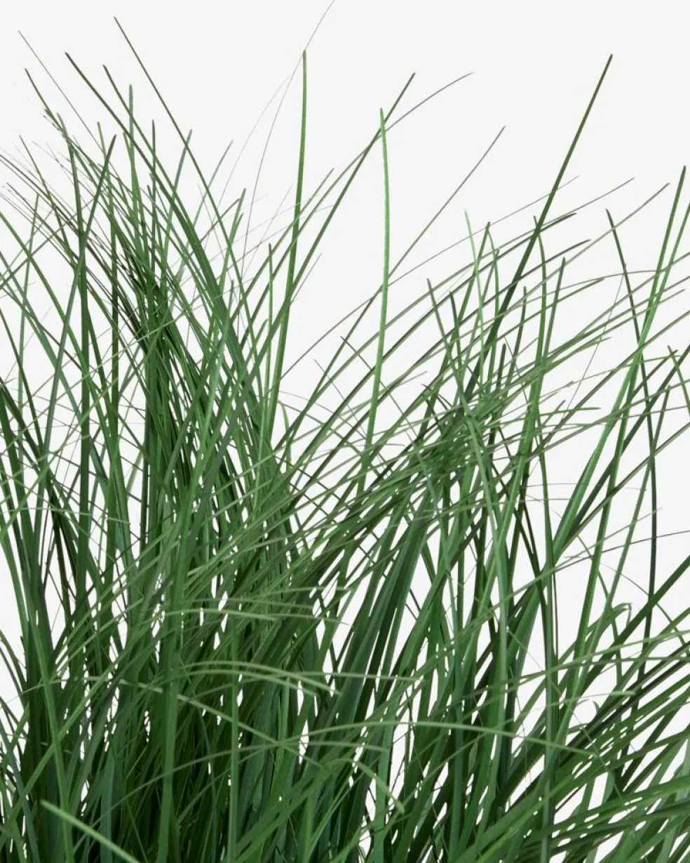 HAVELLEPlante artificielle HAVELLE H65cm herbe verte