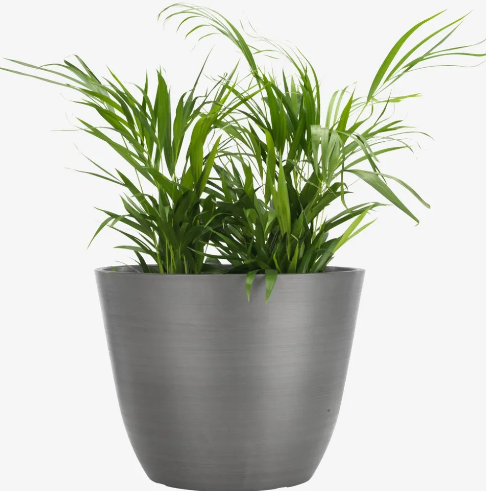 HVEPSBac à fleurs HVEPS Ø53xH41 gris