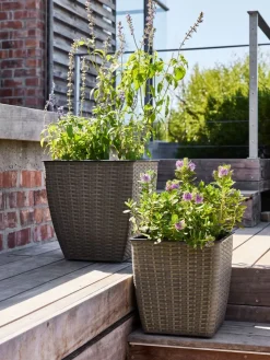 ISLOMPanier pour plantes ISLOM 31x31x32 naturel
