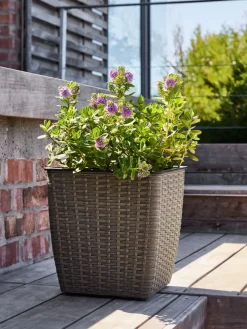 ISLOMPanier pour plantes ISLOM 31x31x32 naturel