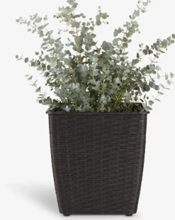ISLOMPanier pour plantes ISLOM 31x31x32 assorti