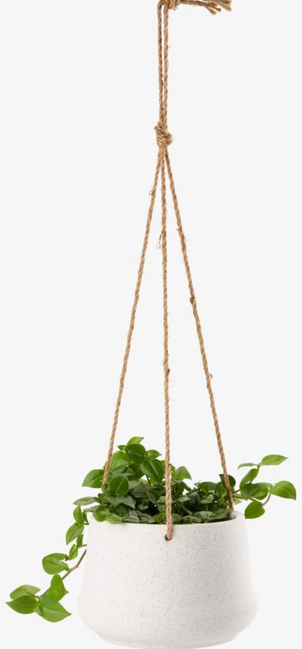 KLIPPEDUEJardinière suspendue KLIPPEDUE Ø15xH12 naturel