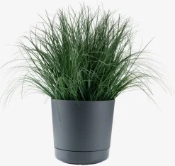 MORKULLABac à fleurs MORKULLA Ø28xH28 gris anthracite