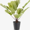 ROLFPlante artificielle ROLF H55cm vert