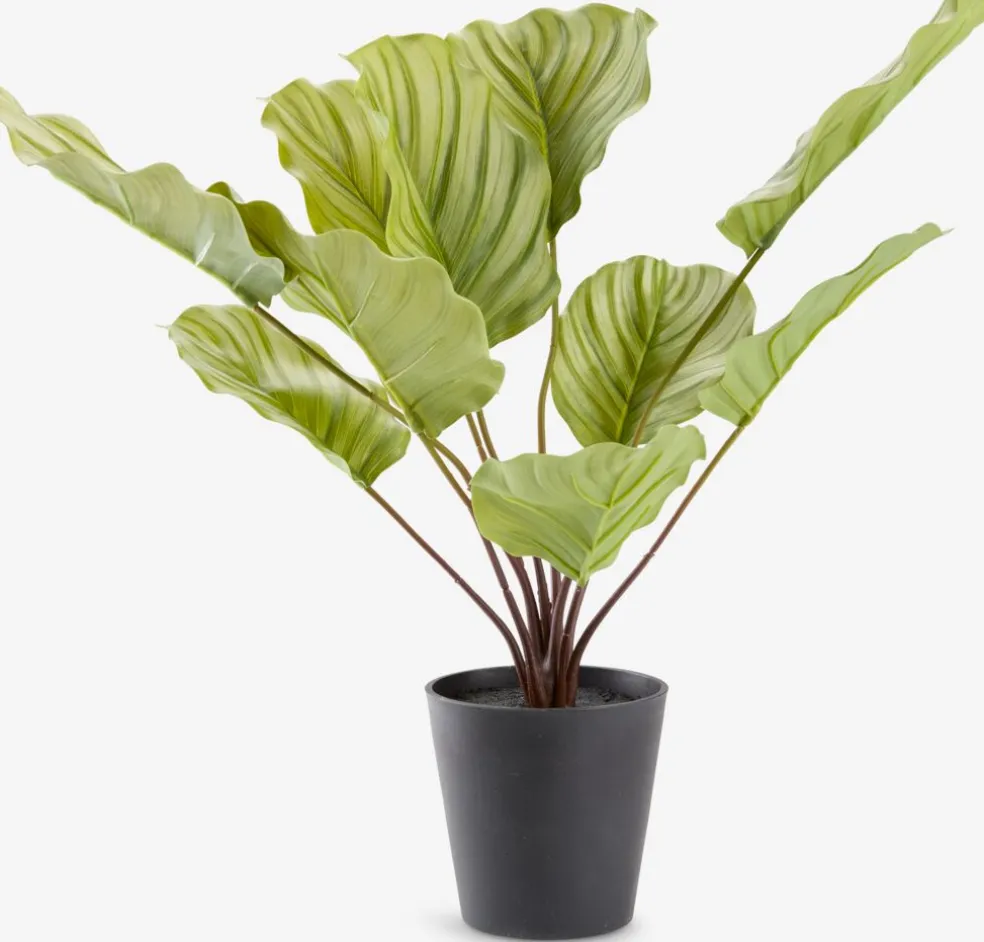ROLFPlante artificielle ROLF H55cm vert