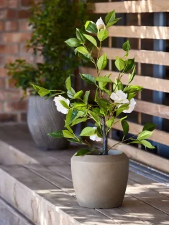 SOLOPGANGPlante artificielle SOLOPGANG H80 rose blanche