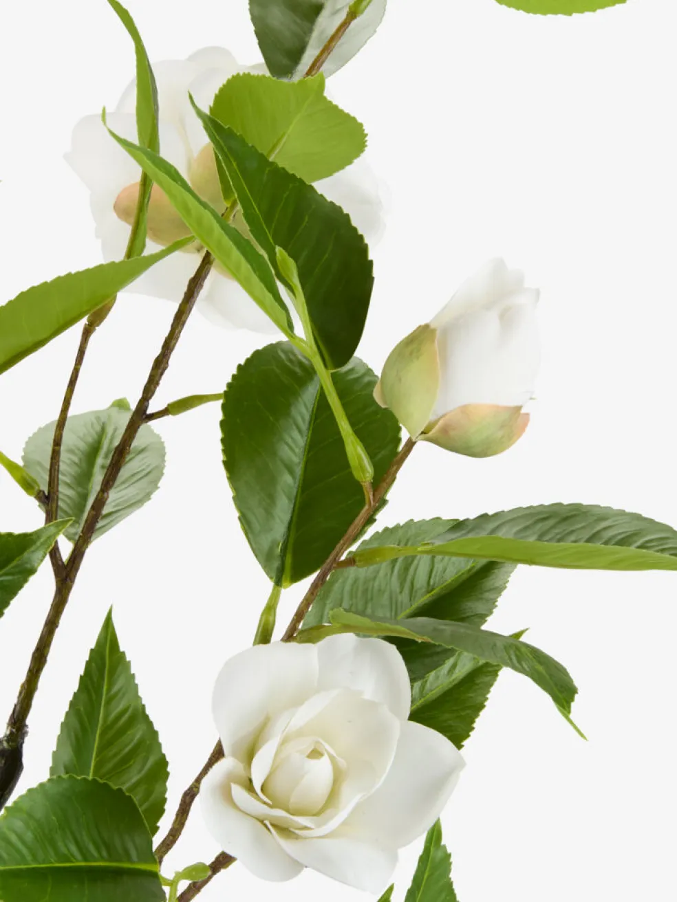 SOLOPGANGPlante artificielle SOLOPGANG H80 rose blanche