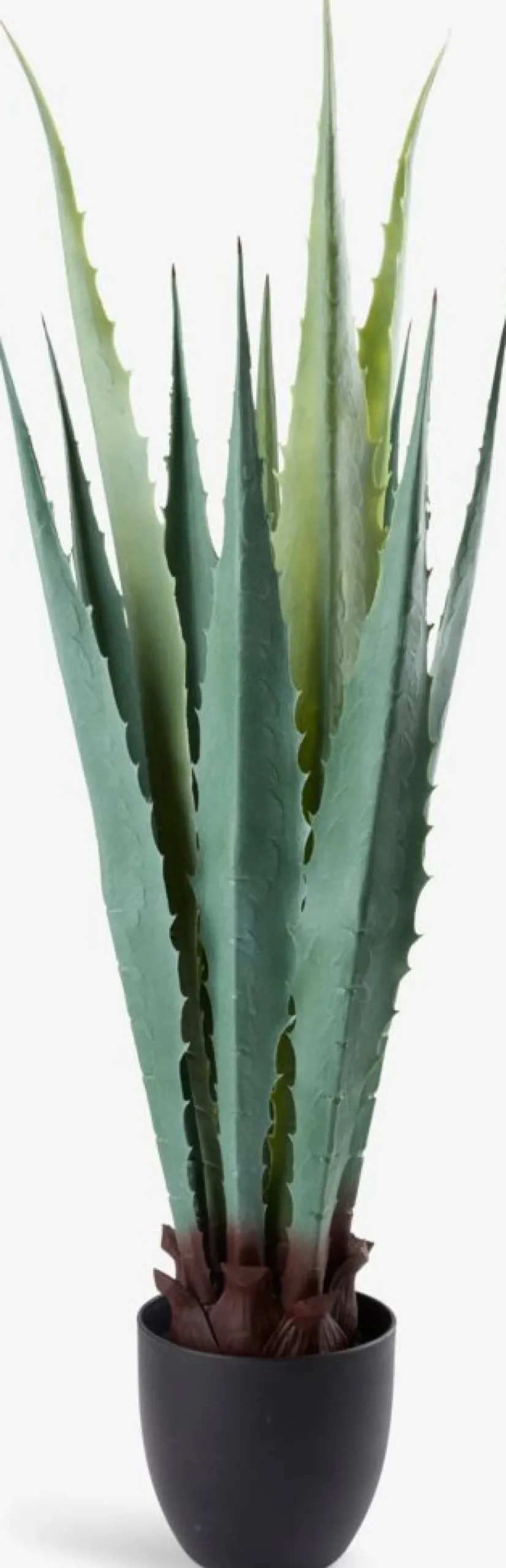 TOPPMEISPlante artificielle TOPPMEIS H105cm agave verte